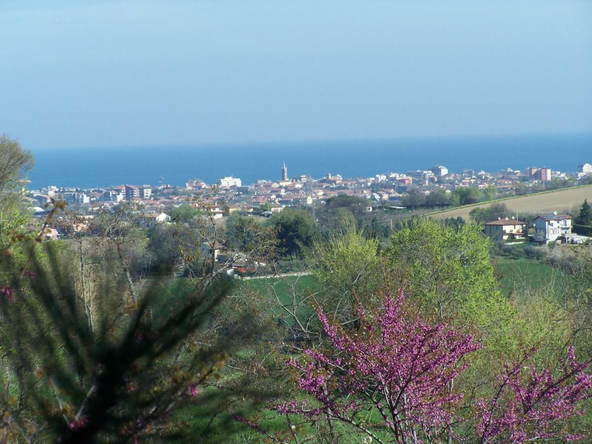 Villetta Le Rose Tavullia Exterior foto
